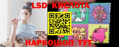 дмт Краснодар